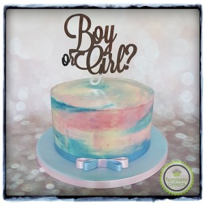 Gender reveal baby shower cake